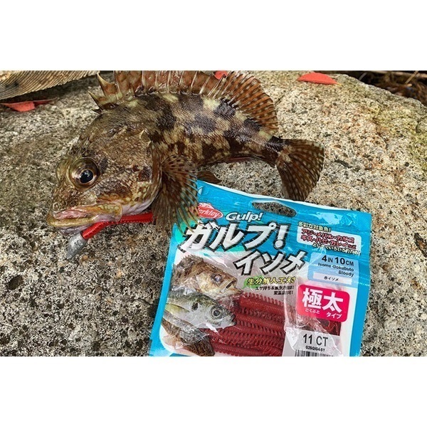 ガルプ!ソルトウォーターイソメ 太身 4インチ